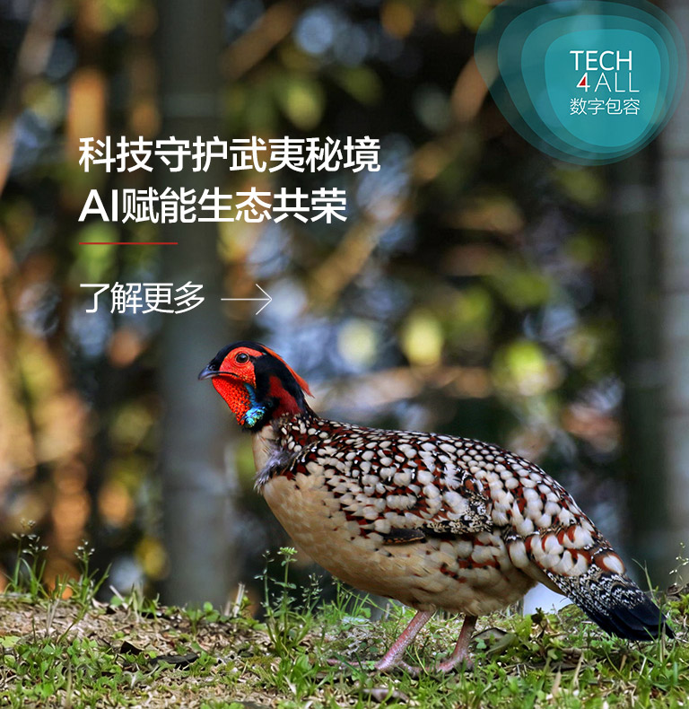 用 AI 守护武夷山森林生态